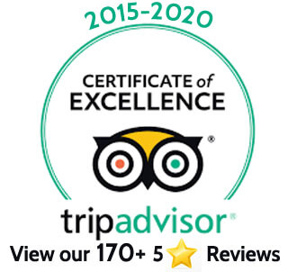 Trip Advisor Badge 2015-2020